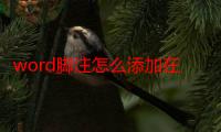 word脚注怎么添加在文字下方（word脚注怎么添加）